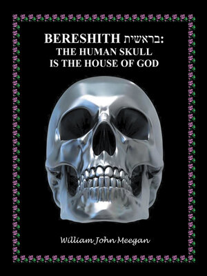 cover image of BERESHITH